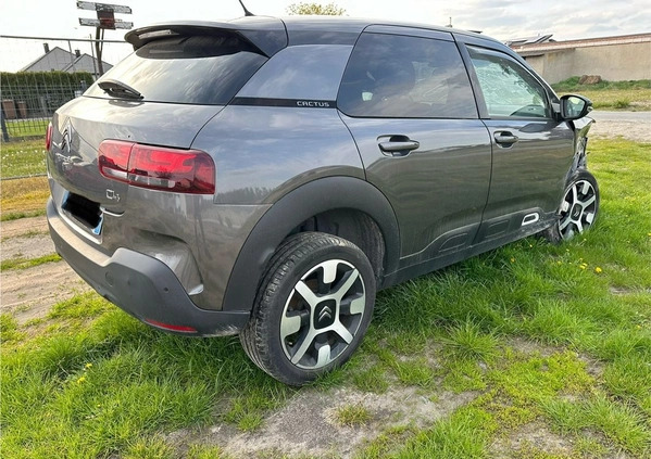 Citroen C4 Cactus cena 33900 przebieg: 59600, rok produkcji 2019 z Braniewo małe 56